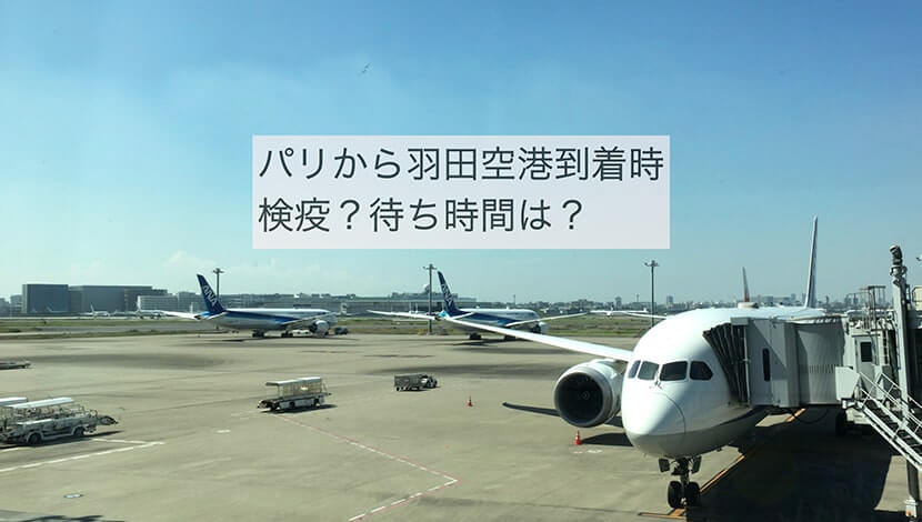 シャルルドゴール空港・羽田空港は今？帰国時レポート【フランス留学】